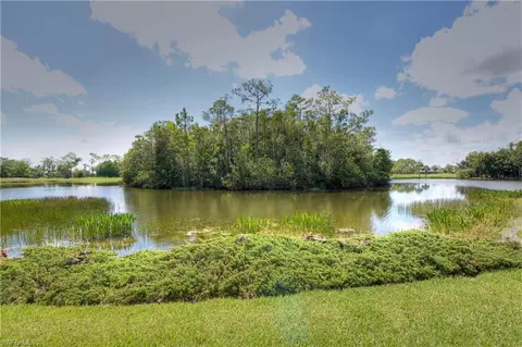 20281 Wildcat Run Dr, Estero, FL 33928 photo 22