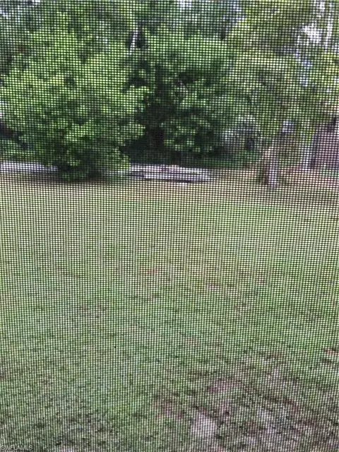 5205 Broward St, Naples, FL 34113 photo 8