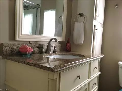 10705 Red Cardinal Cir, Estero, FL 33928 photo 10