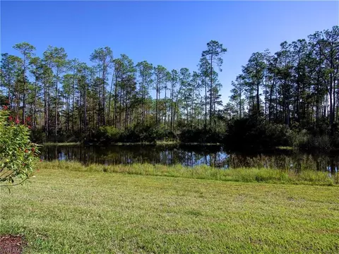 13217 Boccala Ln, Estero, FL 33928 photo 22