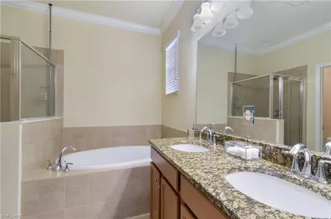 20268 Black Tree Ln, Estero, FL 33928 photo 12