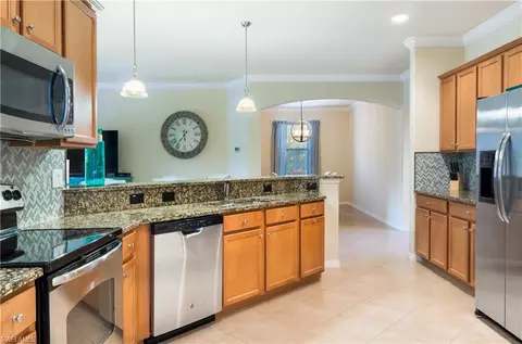 20268 Black Tree Ln, Estero, FL 33928 photo 7