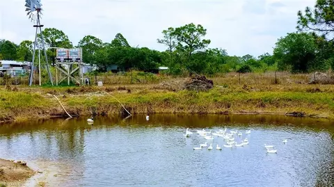 235 Evans Rd, Labelle, FL 33935 photo 22