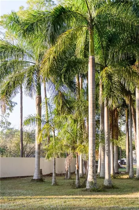 6080 Adkins Ave, Naples, FL 34112 photo 2