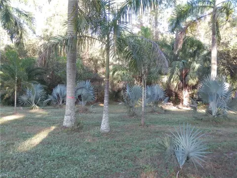 6080 Adkins Ave, Naples, FL 34112 photo 22