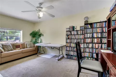 6025 Painted Leaf Ln, Naples, FL 34116 photo 21