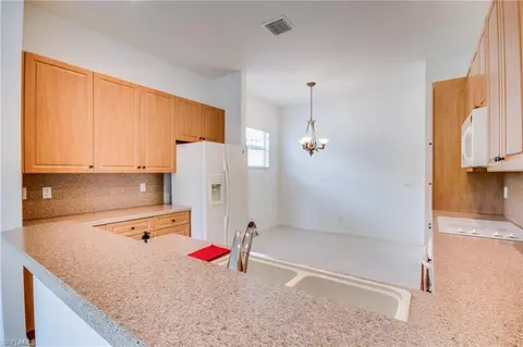 20095 Ballylee Ct, Estero, FL 33928 photo 7