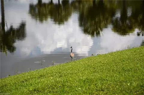 413 Augusta Blvd #104, Naples, FL 34113 photo 4