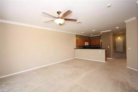10111 N Silver Palm Dr, Estero, FL 33928 photo 8