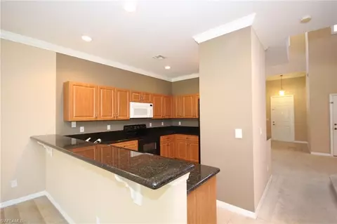 10111 N Silver Palm Dr, Estero, FL 33928 photo 3