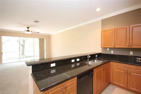 10111 N Silver Palm Dr, Estero, FL 33928 photo 4