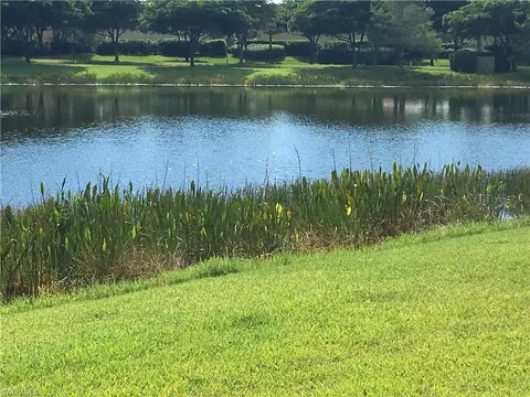 13702 Martone Ct, Estero, FL 33928 photo 7