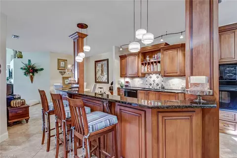 23031 Grassy Pine Dr, Estero, FL 33928 photo 1