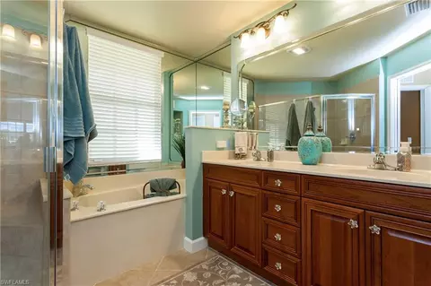 20271 Burnside Pl #803, Estero, FL 33928 photo 20