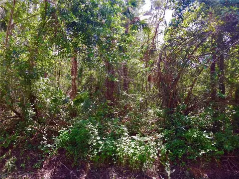 4170 8th Ave SE, Naples, FL 34117 photo 6
