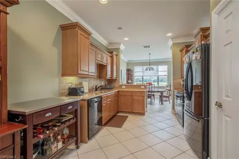 20497 Larino Loop, Estero, FL 33928 photo 5