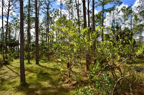 3530 14th Ave NE, Naples, FL 34120 photo 17