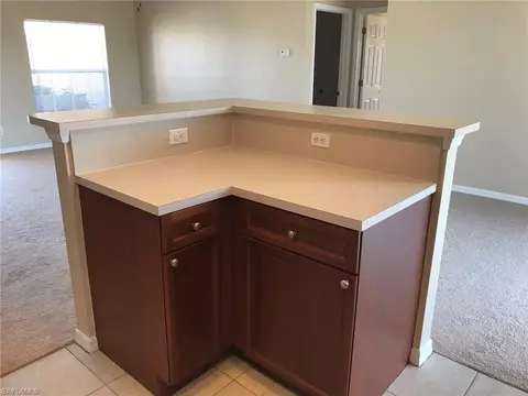 335 Pullman St, Lehigh Acres, FL 33974 photo 9