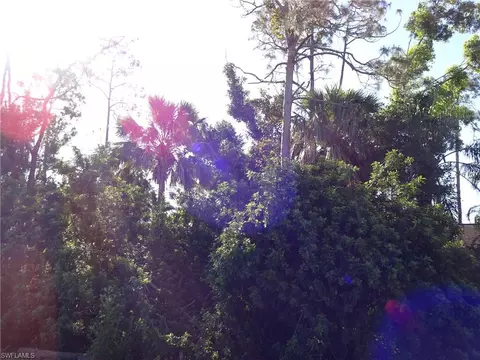 5226 Mitchell St, Naples, FL 34113 photo 7