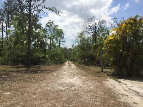 20291 Carter Rd, Estero, FL 33928 photo 23
