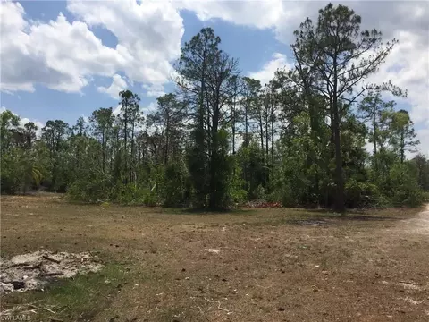20291 Carter Rd, Estero, FL 33928 photo 22