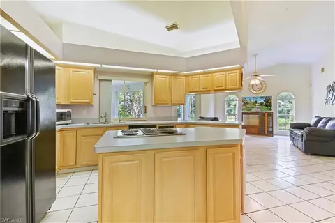 6191 Painted Leaf Ln, Naples, FL 34116 photo 8