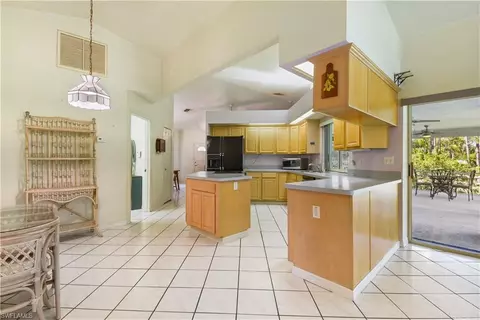 6191 Painted Leaf Ln, Naples, FL 34116 photo 11