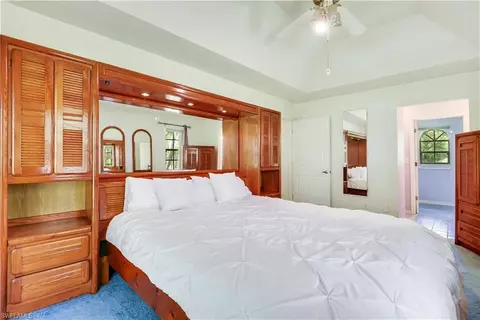 6191 Painted Leaf Ln, Naples, FL 34116 photo 22