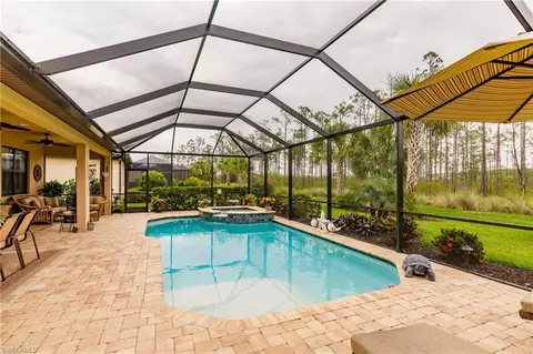 20453 Black Tree Ln, Estero, FL 33928 photo 19
