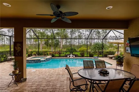 20453 Black Tree Ln, Estero, FL 33928 photo 17