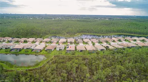 20453 Black Tree Ln, Estero, FL 33928 photo 23