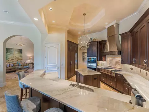 16536 Cellini Ln, Naples, FL 34110 photo 12