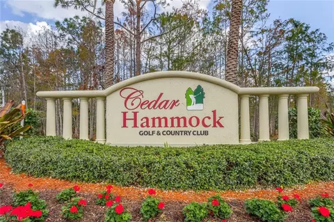 3618 Cedar Hammock Ct, Naples, FL 34112 photo 17