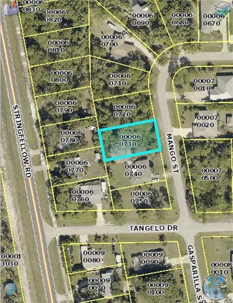 3894 Mango St, Other, FL 33956