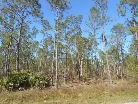 1319 Jackson Ave, Lehigh Acres, FL 33972
