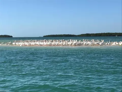 147 Capri Blvd, Naples, FL 34113 photo 17