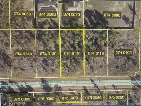 1119 Edelweiss St E, Lehigh Acres, FL 33974