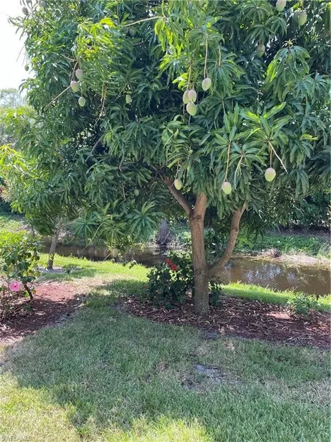 208 Palm Dr #5, Naples, FL 34112 photo 22
