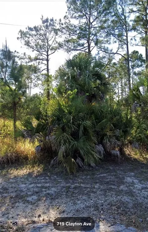 719 Clayton Ave, Lehigh Acres, FL 33972