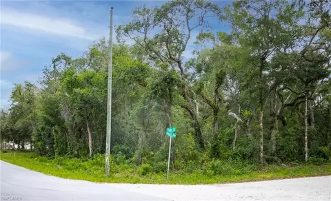 6425 Yam St, Webster, FL 33597