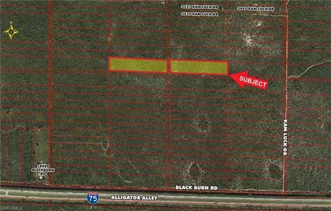17 Acrs Kam Luck Dr, Naples, FL 34117