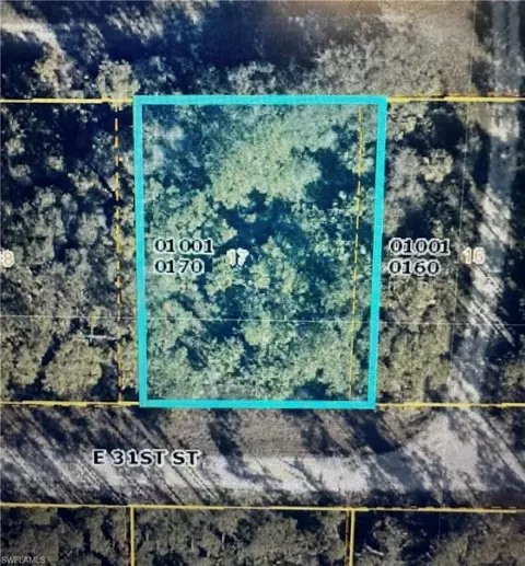 4219 E 31st St, Alva, FL 33920