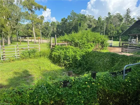 Exterior - 2170 Rock Rd, Naples, FL 34120 photo 9 of 13