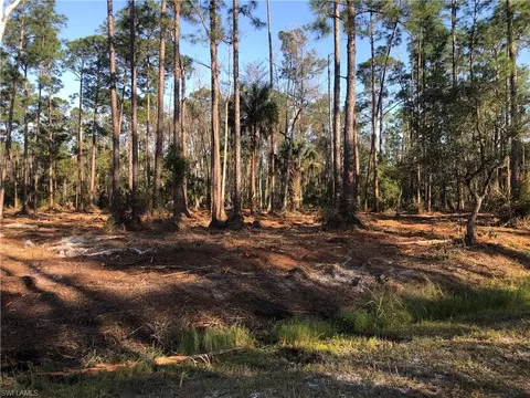 2306 Columbus Ave, Alva, FL 33920