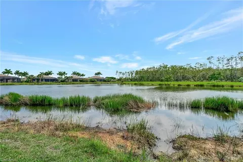 20111 Eagle Stone Dr, Estero, FL 33928 photo 45