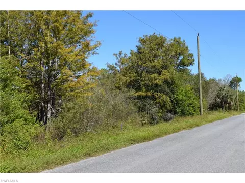 Jacks Branch Rd, Labelle, FL 33935 photo 2