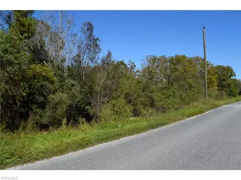 Jacks Branch Rd, Labelle, FL 33935 photo 5