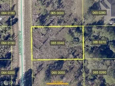 423 Lampion Ave S, Lehigh Acres, FL 33974