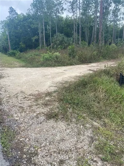 3950 14th Ave NE, Naples, FL 34120 photo 5