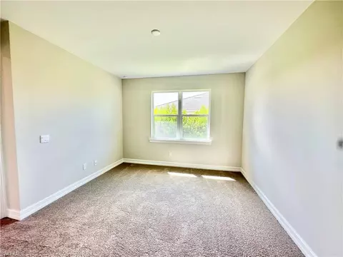 1008 Tranquil Brook Dr, Naples, FL 34114 photo 22